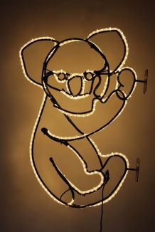 Koala - Leuchttier für das Outback im Winter-Zoo 2011