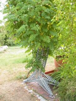 Rankhilfe - Stahl geschweißt