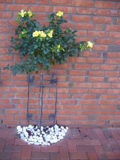 wunderschöne Rankgitter aus verzinktem und lackiertem Rundeisen