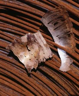 Schalenskulpturen aus Silber