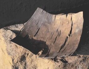 Schale aus versilbertem Stahl