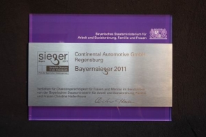 Bayernsieger 2011, Preis des Bayerischen Staatsministerium für Arbeit und Sozialordnung, Familie und Frauen
