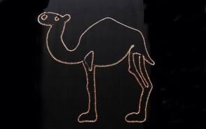 Leuchtendes Kamel in 2 Meter Größe