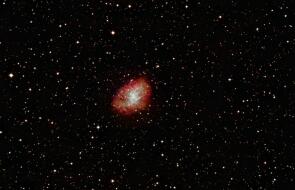 Messier 1, der Krebsnebel mit einem 16" Dall Kirkham