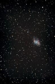 Messier 1, der Krebsnebel mit 16"