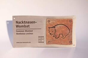 Schild für den Nacktnasen Wombat Im Zoo Hannover
