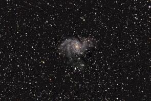 NGC6946 - Supernova in der Feuerwerksgalaxie im Mai 2017
