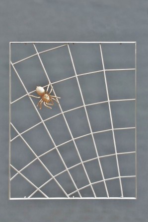Spinnen Gitter aus Edelstahl