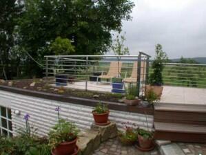 Terrassengeländer aus verzinktem Stahl mit Edelstahl Handlauf - Edelstahlgeländer, Preis per lfm. Meter
