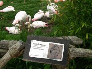 Tierbeschilderung Zoo Hannover