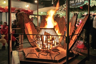 Flammlachsstand Zoo Hannover