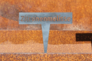Kräuterstecker Zitonenmelisse