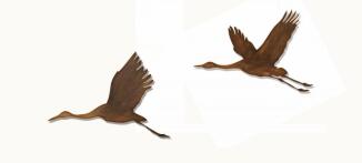 2 Kraniche aus Tombak mit Schatten