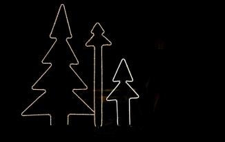 leuchtende Tannenbäume