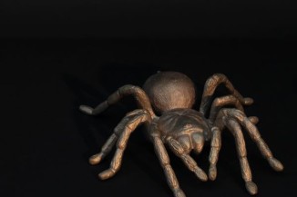 Es gibt wieder neue, aus Bronze gegossene Vogelspinnen