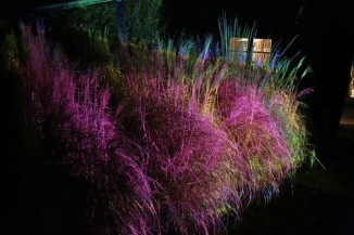 Probebeleuchtung im wunderschönen Garten vom Jens Lütge