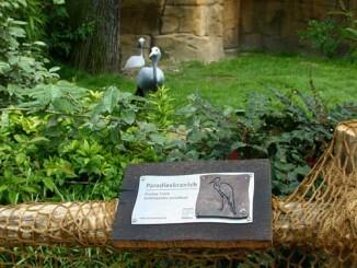 Zoo Hannover - Beschilderung für Paradieskranich