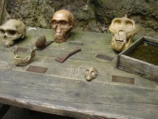 Beschilderung aus Tombak für den Tisch der Archäologen auf dem Gorillaberg im Zoo Hannover