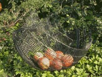 Schale aus 2 mm Stahldraht