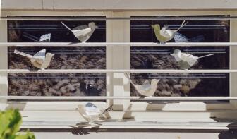 Fenstergitter mit gelasertem Vogel