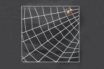 Fenstergitter in Spinnennetzform gegen Einbrüche
