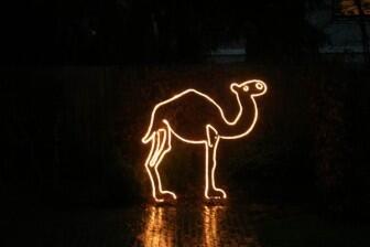 Leuchtendes Kamel aus Rundeisen mit einem Lichtschlauch nachgezeichnet