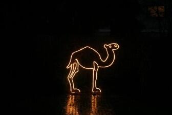 leuchtendes Kamel