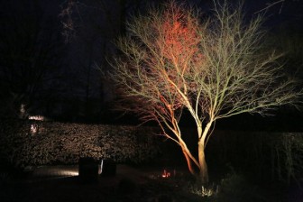 Probebeleuchtung im wunderschönen Garten vom Jens Lütge