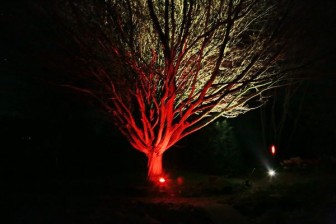 Probebeleuchtung im wunderschönen Garten vom Jens Lütge