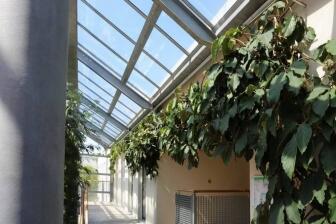 Pflanzen Halterungen aus Edelstahl für das Prof. König Heim in Hildesheim