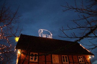 Elefant auf den Dächern in Meyers Hof im Zoo Hannover
