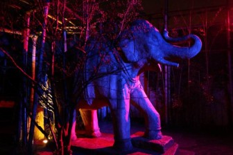 Elefanten Statur im Winterzoo Hannover