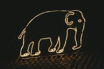 Leuchtende Tiere in Aktion im Winter Zoo Hannover