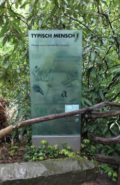 Typisch Mensch, Glasschilder für den Gorilla Berg im Zoo Hannover