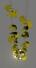 Ginkgo Leuchte - Kronleuchter mit großen, vergoldeten Ginkgo Blättern in Stahl