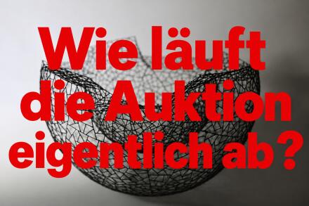 wie läuft die Auktion eigentlich ab?