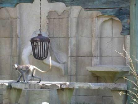 Leuchter für die Hulman Affen im Zoo Hannover