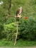 Wegweiser im Zoo Hannover - handbemaltes Schild