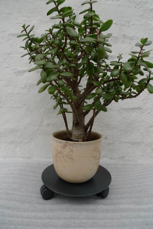 Rollwagen in der Anwendung