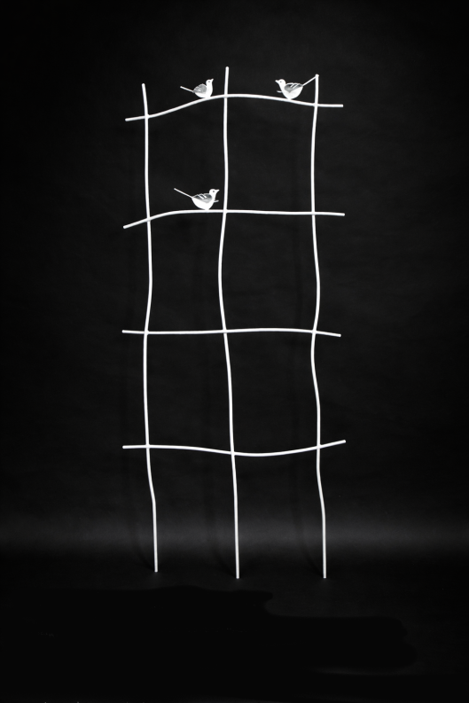 Rangitter Floravento