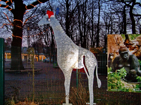 Weihnachts Giraffe im Zoo Hannover