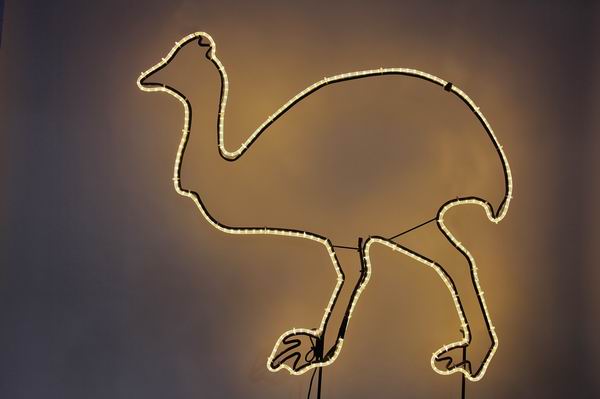 Emu mit Lichtschlauch