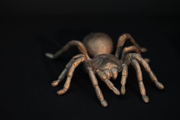 Bronzeguß Vogelspinne
