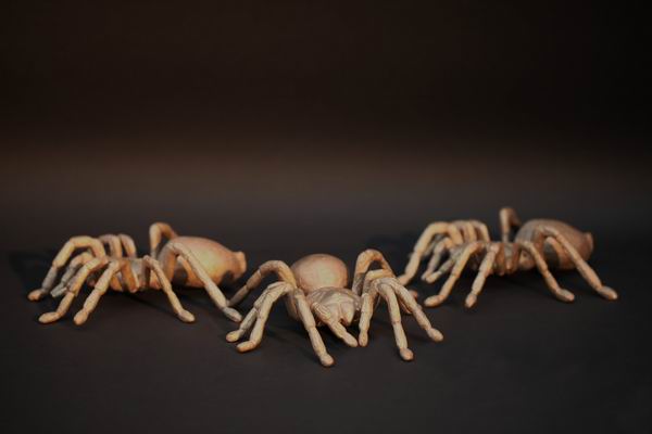 Bronzeguß Vogelspinne