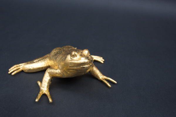 Gold Frosch