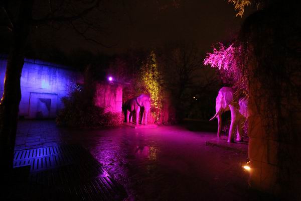 Elefanten Statur im Winterzoo Hannover