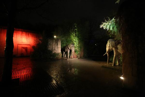 Elefanten Statur im Winterzoo Hannover