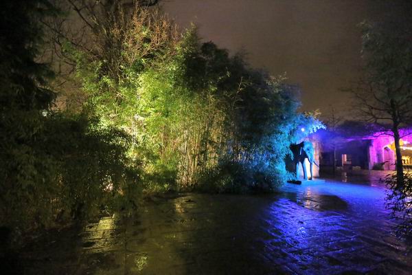 Elefanten Statur im Winterzoo Hannover