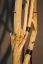 Baumstamm Garderobe aus Stahl und naturfarbenem Holz