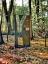 rostige Stelen für die  "Naturerlebnisstation Wald" auf dem Gelände des Umweltzentrum Karlshöhe